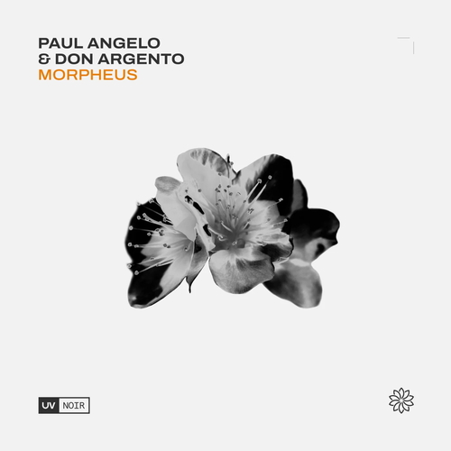 Paul Angelo & Don Argento - Morpheus [UVN075]
